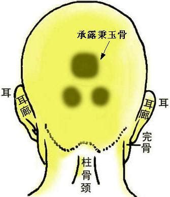 能长寿的8种面相分别是什么_能长寿的8种面相有哪些,第3张